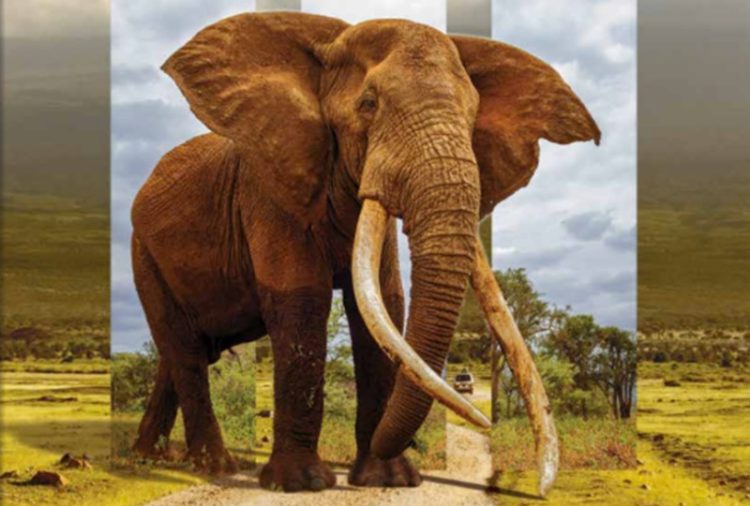 Africa Collection Launches Guided Journeys Brochure - TOURISMAFRICA.org